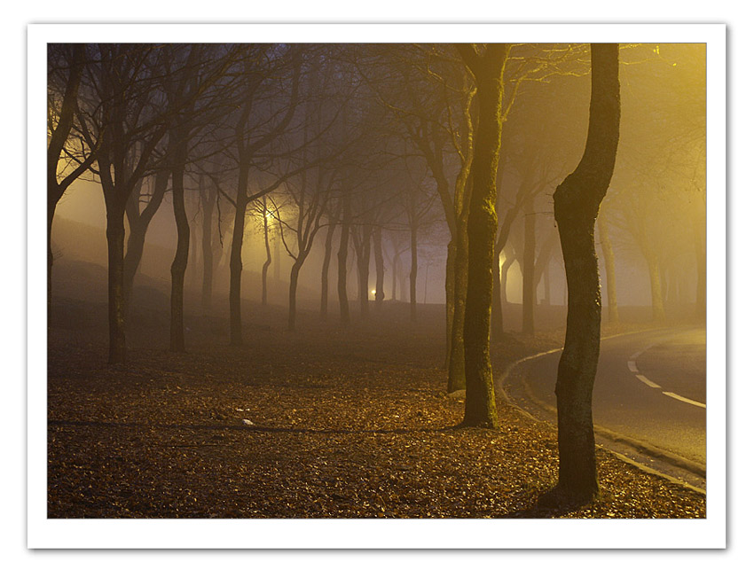 photo "in the night" tags: misc., 