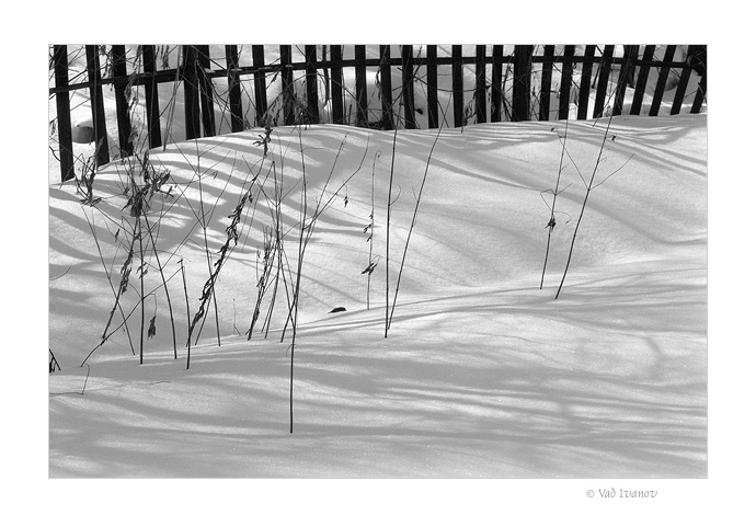 photo "Fence" tags: misc., 