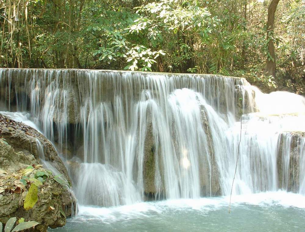 photo "Soft feeling" tags: landscape, forest, water