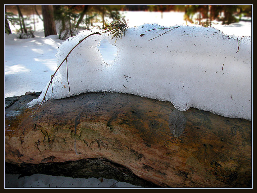 photo "March. Last snow." tags: nature, landscape, spring