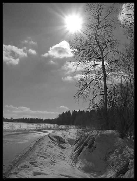 фото "Видение весны" метки: пейзаж, черно-белые, лес