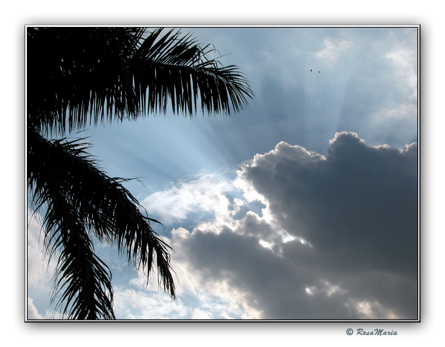 photo "Beam Light" tags: landscape, clouds