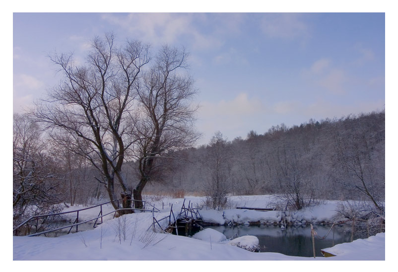 photo "The bridge" tags: landscape, forest, winter