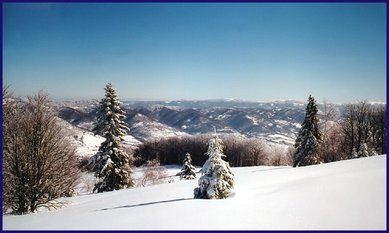 photo "Winter card" tags: landscape, winter