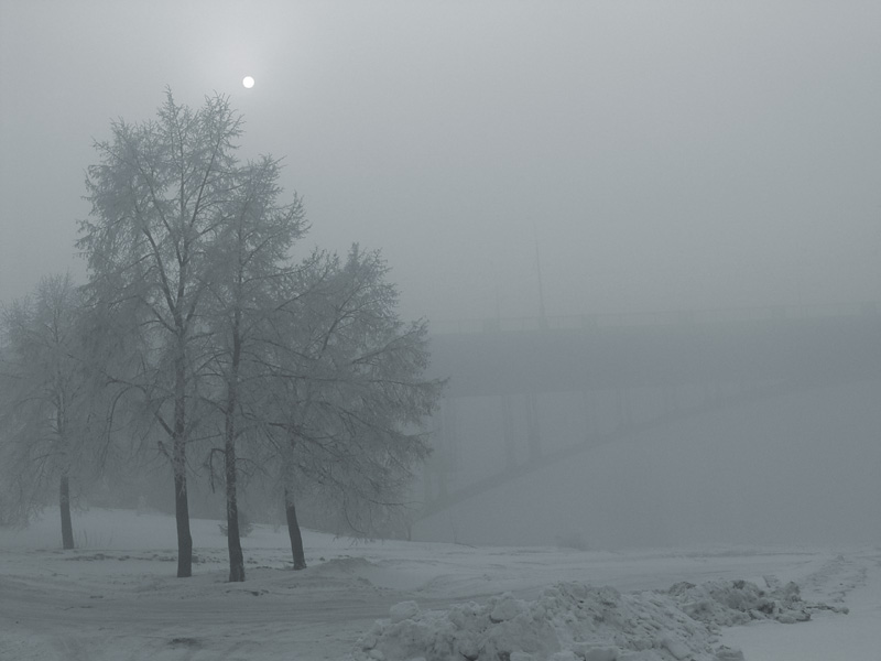 фото "Лирическая" метки: пейзаж, зима