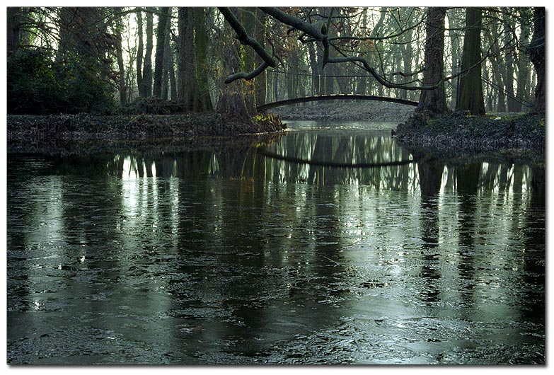 фото "Thin ice II." метки: пейзаж, вода, лес