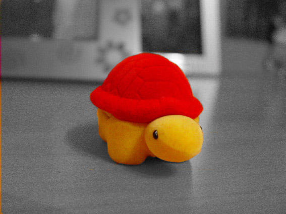 photo "***" tags: misc., 