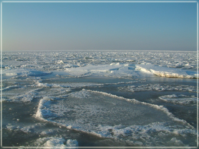 фото "Iced" метки: пейзаж, зима