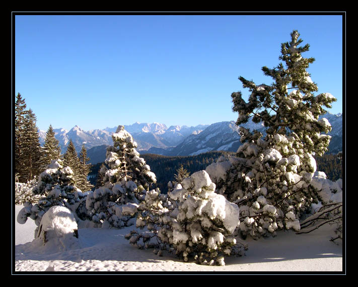 photo "The family" tags: landscape, mountains, winter