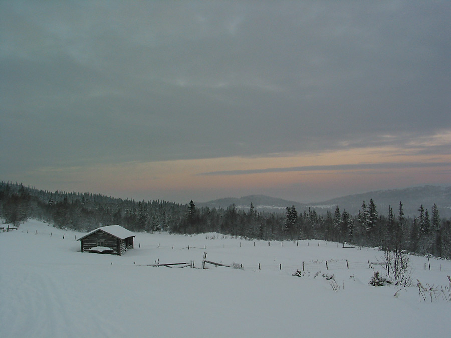 photo "winter evening" tags: landscape, winter