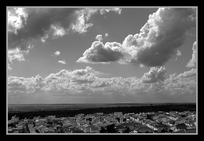 photo "flying view" tags: misc., black&white, 