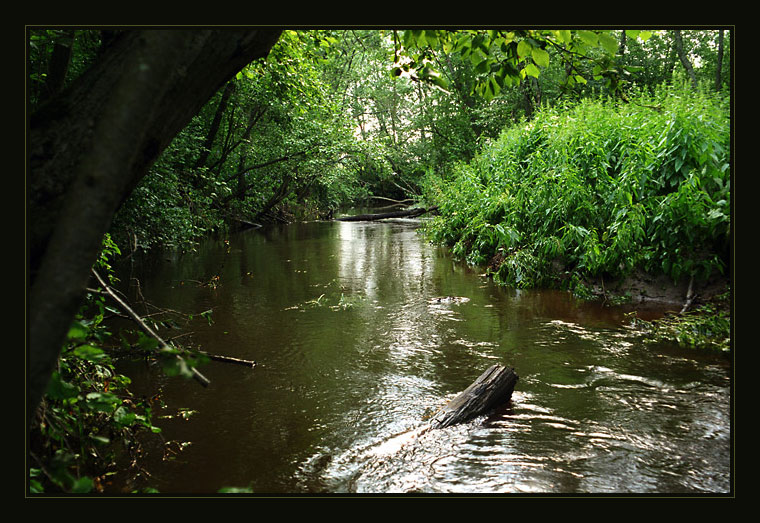 photo "Dobreya river" tags: landscape, forest, water