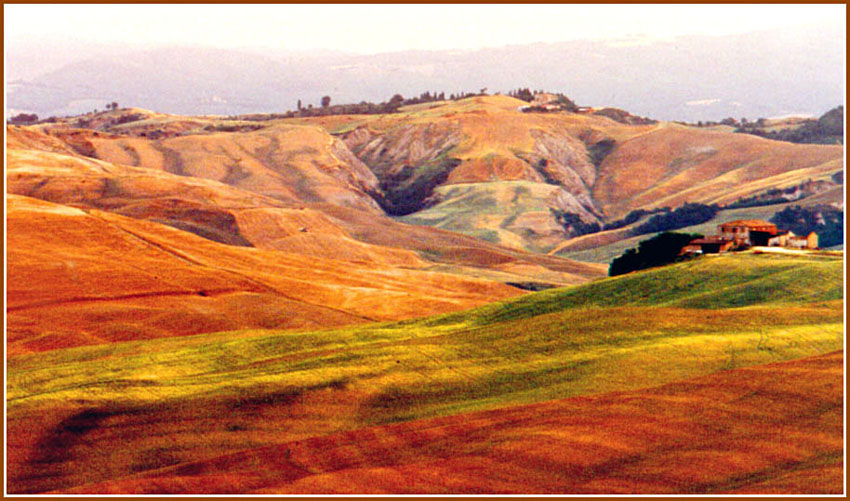 photo "Tuscany after harvest" tags: misc., 