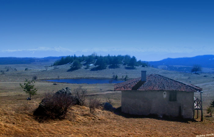 photo "house on lake" tags: landscape, spring