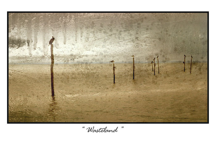 photo "Wasteland" tags: misc., 