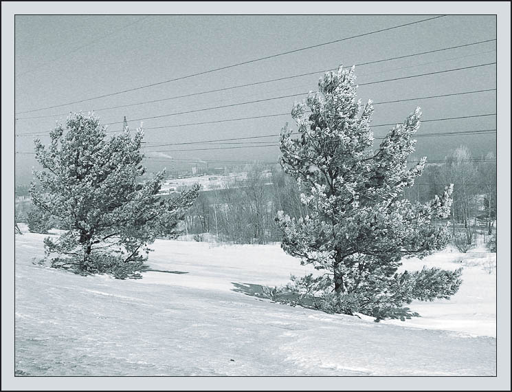 photo "Let`s fly!" tags: landscape, montage, winter