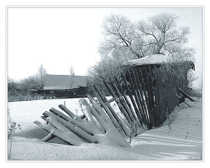 photo "Hoarfrost" tags: landscape, black&white, winter