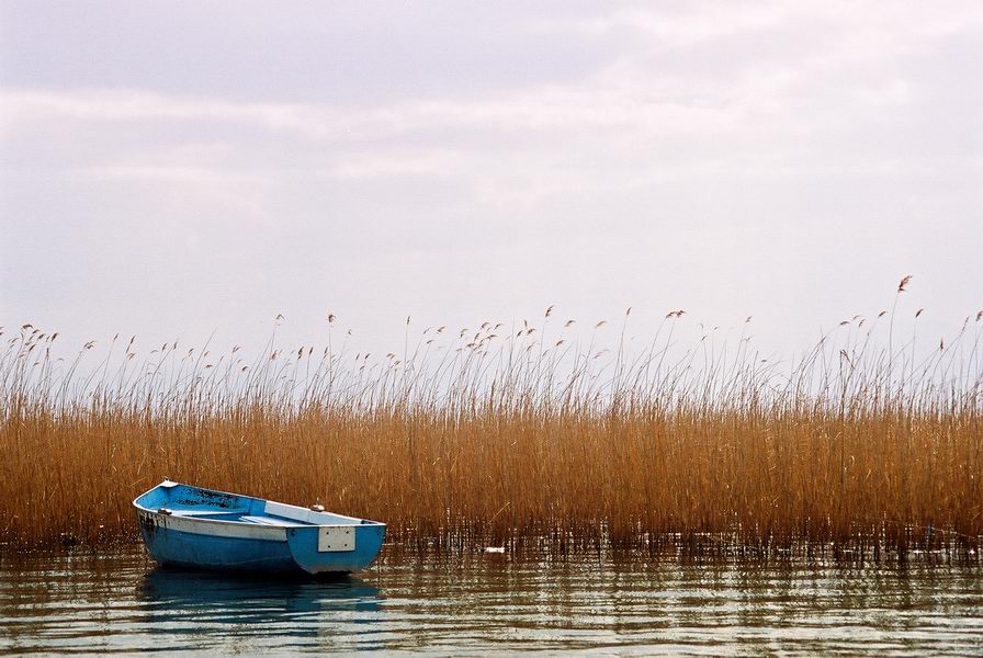 photo "Yellow dream" tags: landscape, water