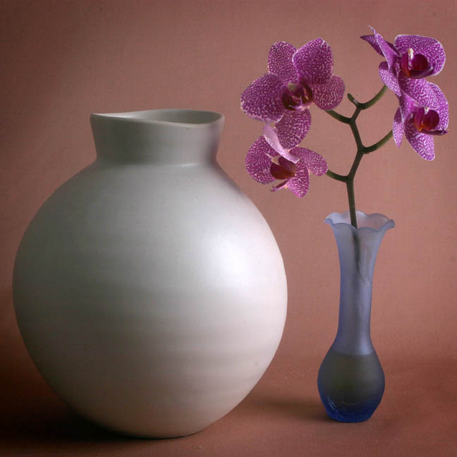 photo "Still Life with Orchids" tags: still life, 