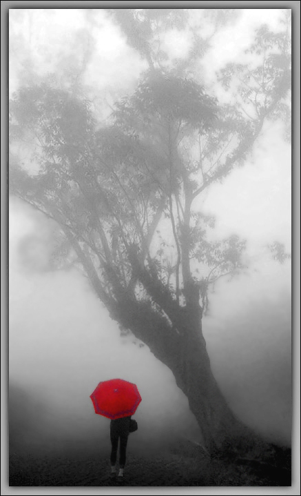 фото "Walking in the fog..." метки: пейзаж, облака