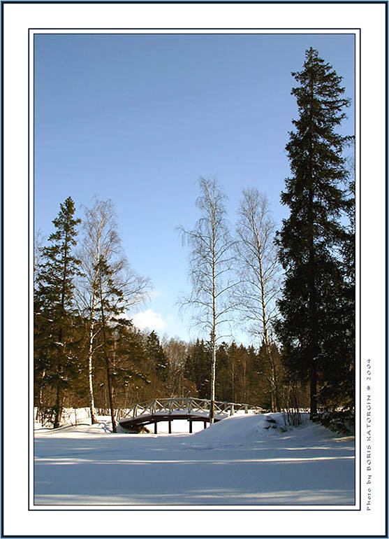 photo "Etudes from Abramtsevo-3" tags: landscape, forest, winter
