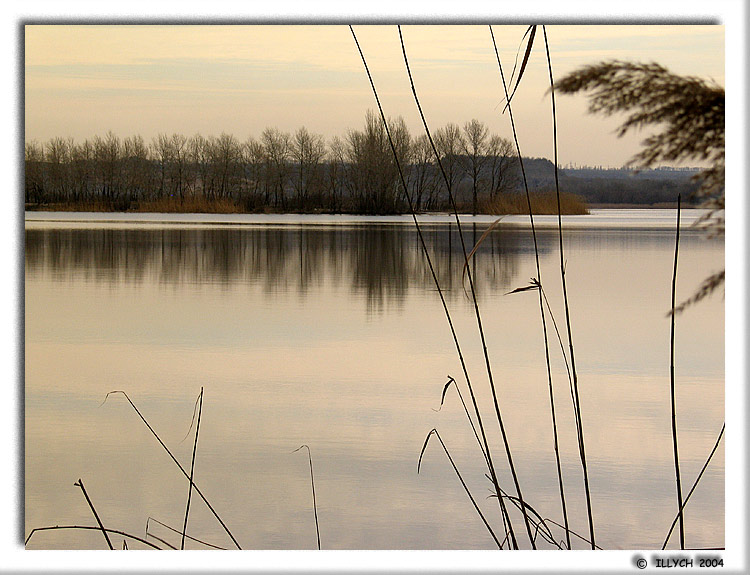 фото "и затаив дыханье... #2" метки: пейзаж, природа, вода