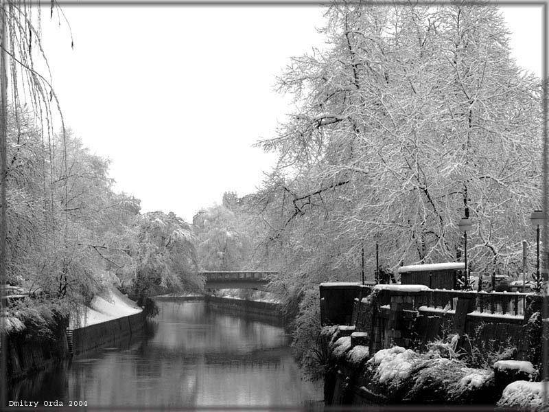 photo "Untitled photo" tags: nature, 