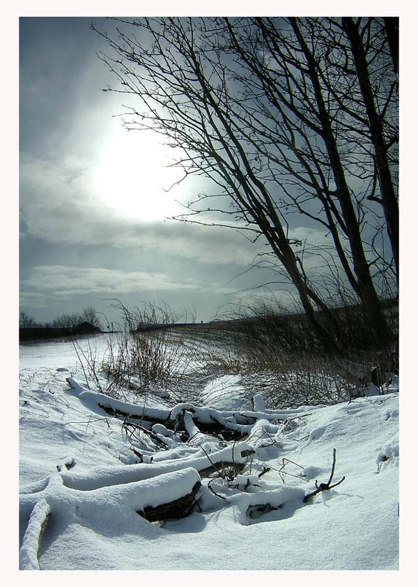 фото "The winter come back" метки: пейзаж, зима