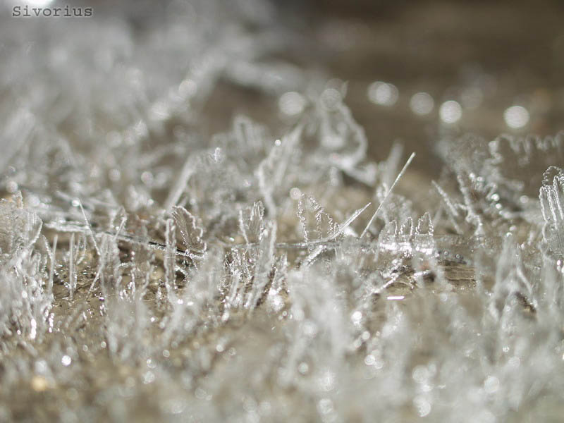 photo "Ice." tags: macro and close-up, 