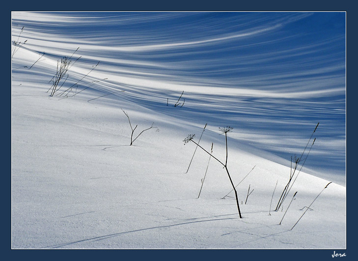 photo "Snow" tags: landscape, winter