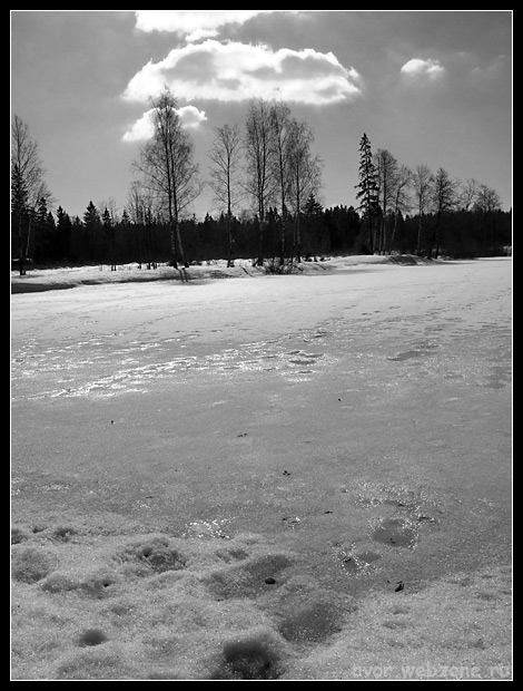 photo "Forest lake in early spring" tags: black&white, misc., 