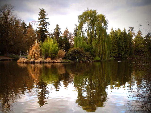 photo "*Mirror*" tags: landscape, forest, water