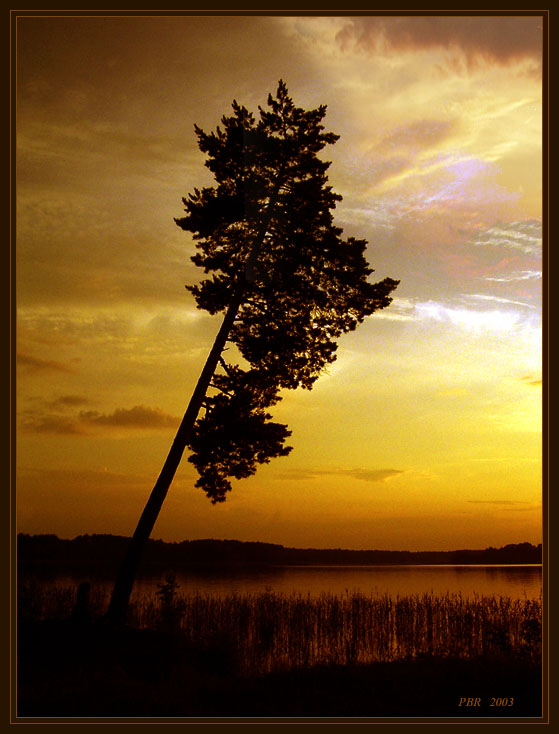 фото "Навстречу солнцу" метки: пейзаж, закат