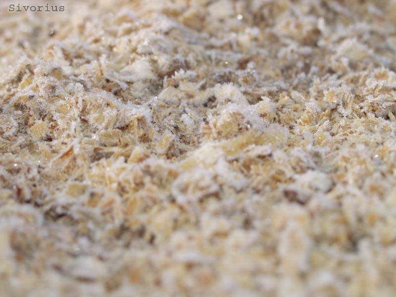 photo "Woodo ice :)" tags: macro and close-up, 