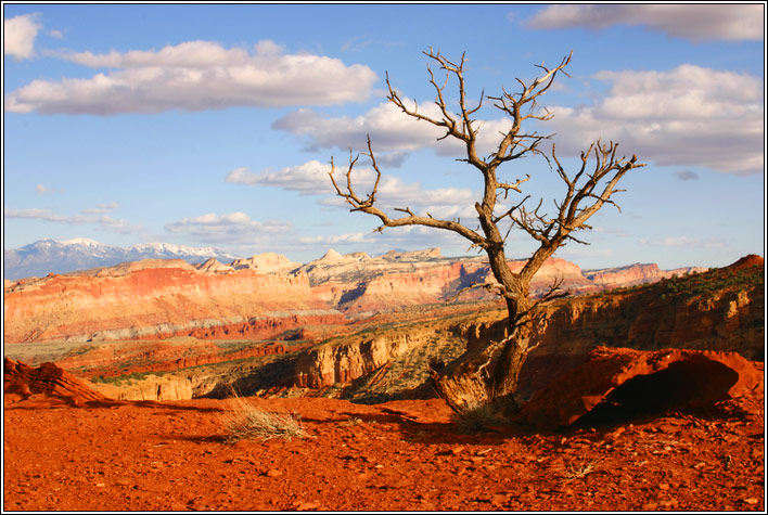 photo "Is there a life on the Mars?" tags: landscape, travel, North America, mountains