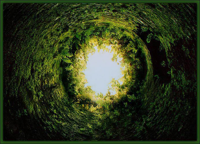 фото "Green tunnel..." метки: природа, 