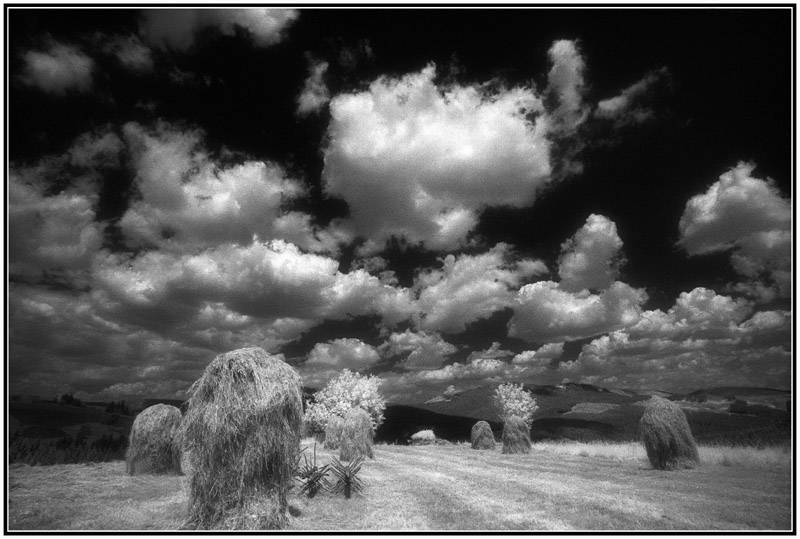 фото "Orava in July" метки: пейзаж, облака