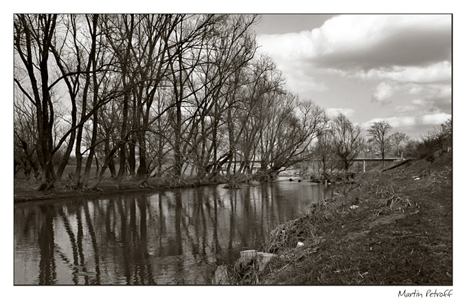 photo "***" tags: landscape, forest, water