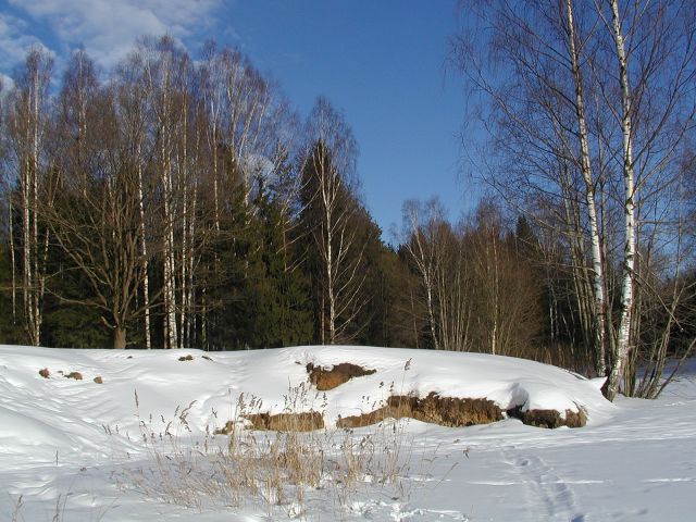 photo "Will Soon be springtime." tags: nature, landscape, forest