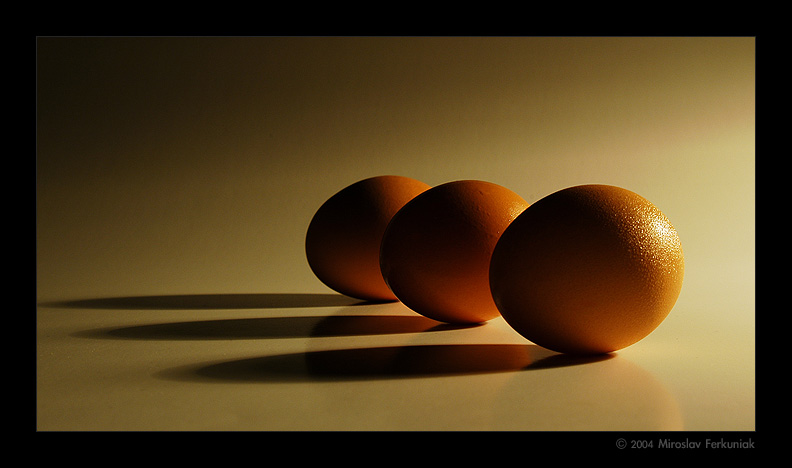 photo "Eggs" tags: still life, 