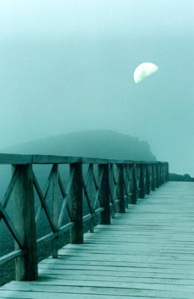 photo "Walk to the Moon" tags: montage, 