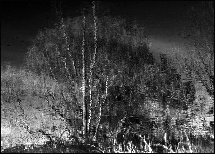 photo "The Dreams of Midnight" tags: black&white, abstract, 