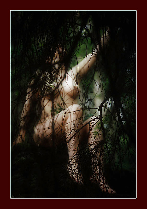 photo "Hiding" tags: nude, 