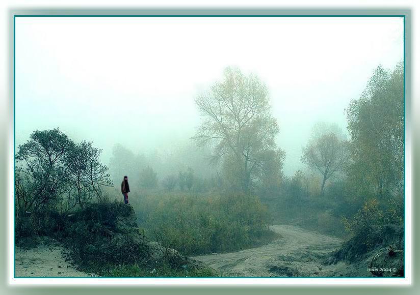 photo "Fog" tags: landscape, 