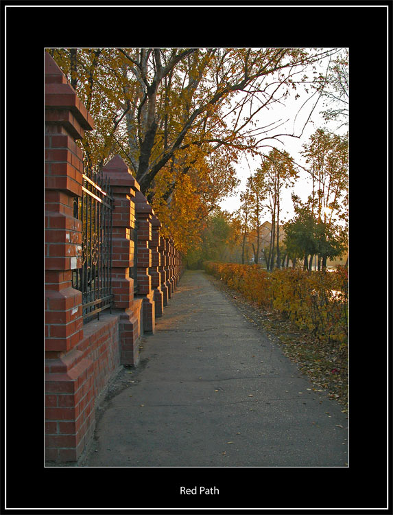 photo "Red Path" tags: misc., landscape, autumn