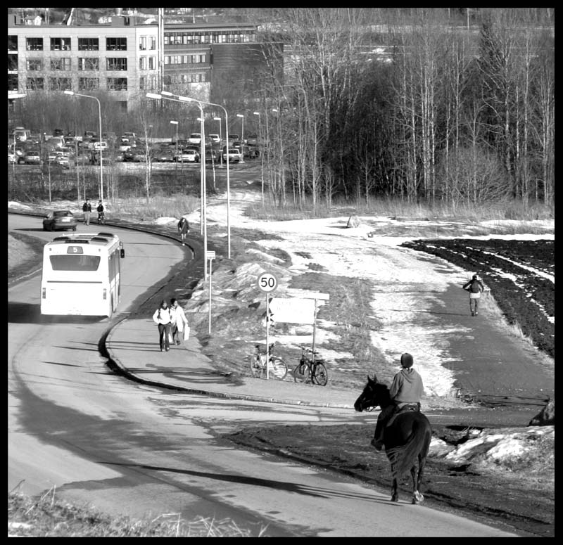 photo "The way to the university" tags: black&white, genre, 