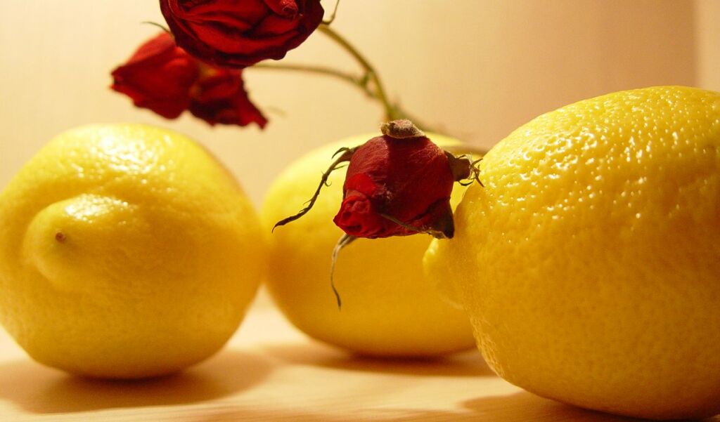photo "lemons" tags: still life, 
