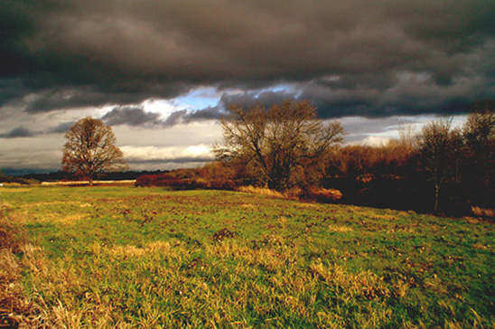 photo "**Before  thunderstorm**" tags: landscape, clouds, forest