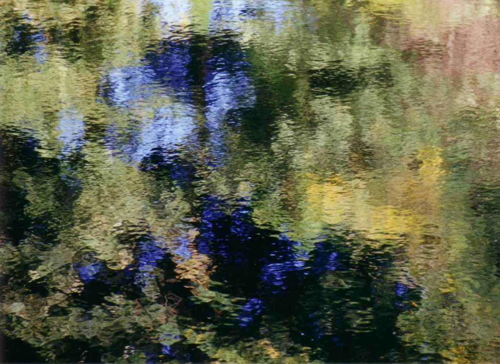photo "Water of Leith 8" tags: landscape, water