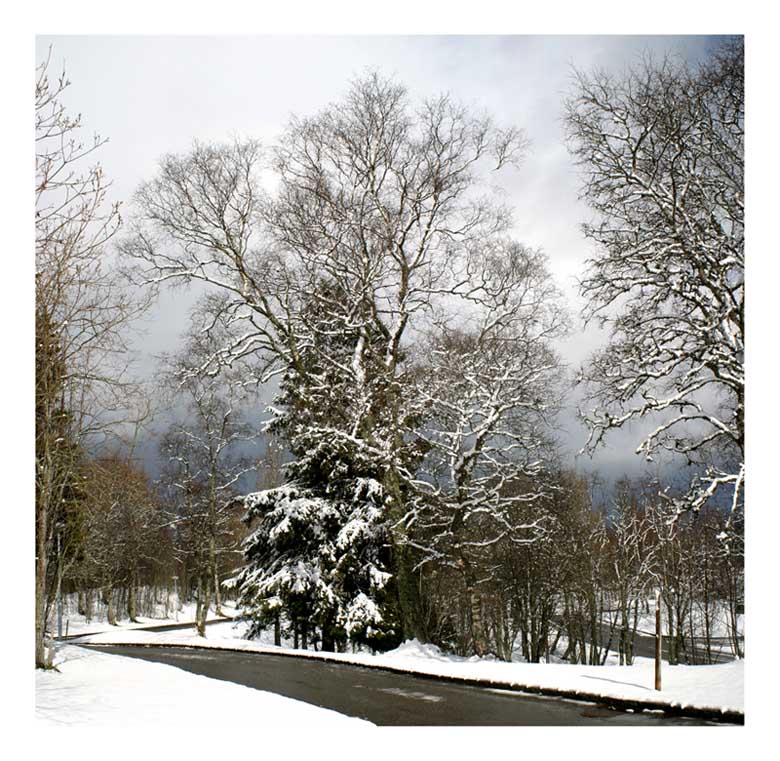 фото "Easter weather" метки: пейзаж, весна
